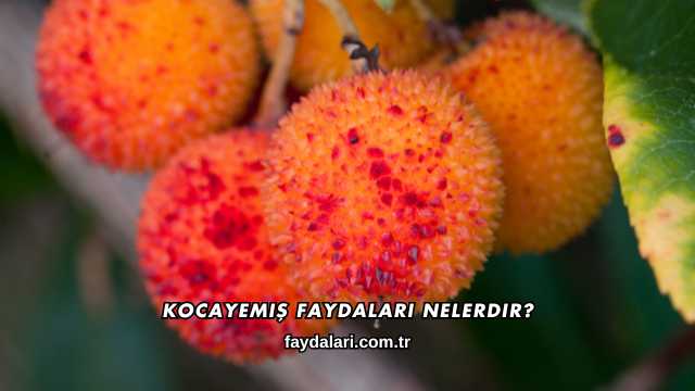 Kocayemiş Faydaları Nelerdir?