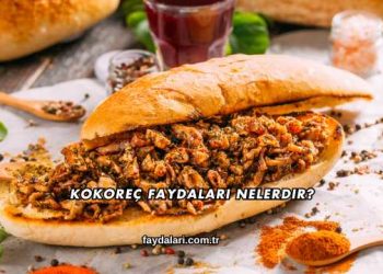 Kokoreç Faydaları Nelerdir?