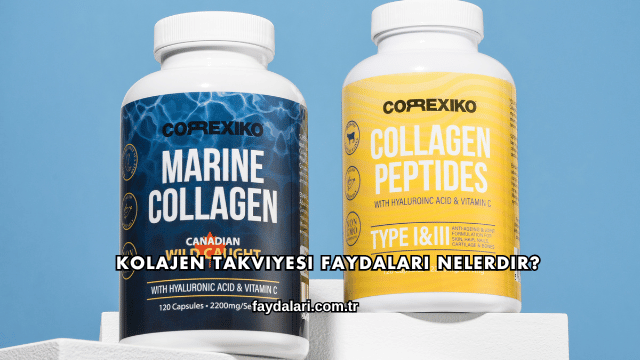 Kolajen Takviyesi Faydaları Nelerdir?