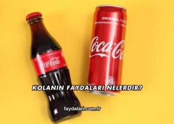Kolanın Faydaları Nelerdir?