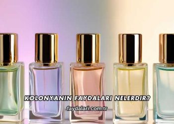 Kolonyanın Faydaları Nelerdir?