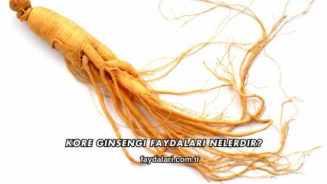 Kore Ginsengi Faydaları Nelerdir?