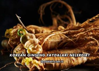 Korean Ginseng Faydaları Nelerdir?
