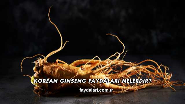 Korean Ginseng Faydaları Nelerdir?