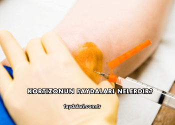Kortizonun Faydaları Nelerdir?
