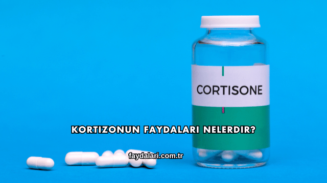 Kortizonun Faydaları Nelerdir?
