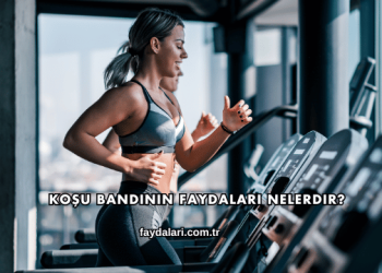 Koşu Bandının Faydaları Nelerdir?