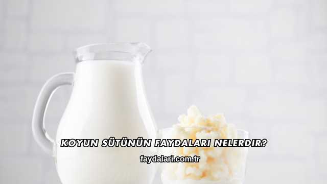 Koyun Sütünün Faydaları Nelerdir?
