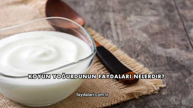Koyun Yoğurdunun Faydaları Nelerdir?
