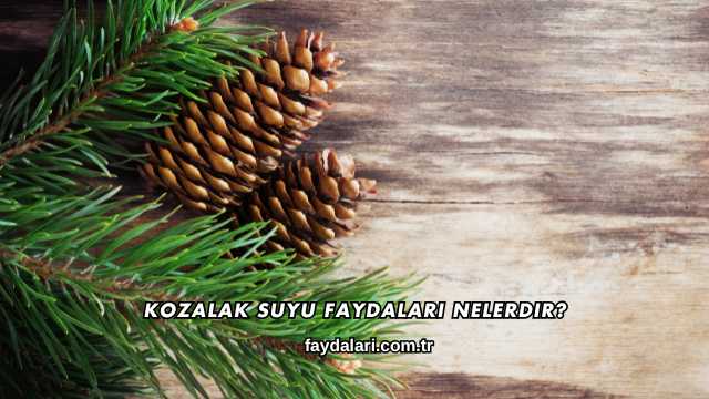 Kozalak Suyu Faydaları Nelerdir?