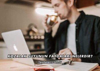 Kozalak Suyunun Faydaları Nelerdir?