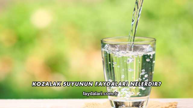 Kozalak Suyunun Faydaları Nelerdir?