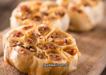 Közlenmiş Sarımsağın Faydaları Nelerdir?