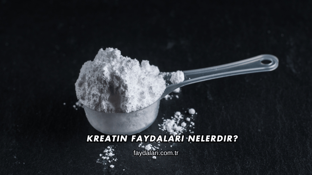 Kreatin Faydaları Nelerdir?