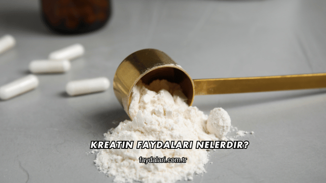 Kreatin Faydaları Nelerdir?