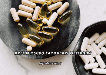 Kreon 25000 Faydaları Nelerdir?