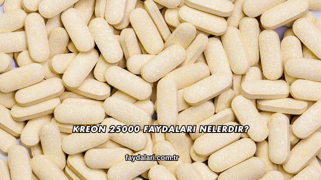 Kreon 25000 Faydaları Nelerdir?