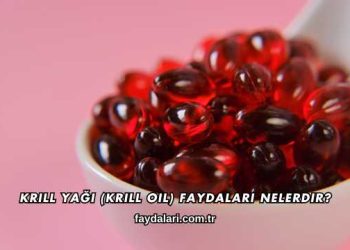 Krill Yağı (Krill Oil) Faydaları Nelerdir?