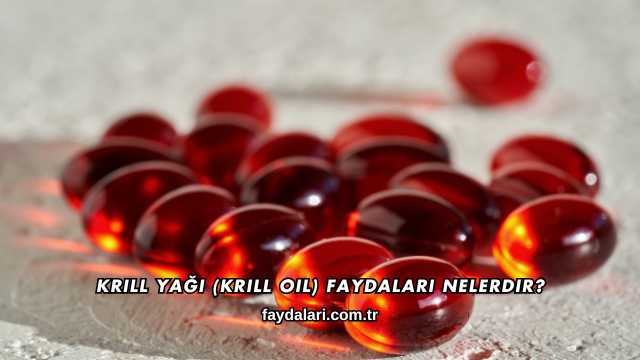 Krill Yağı (Krill Oil) Faydaları Nelerdir?