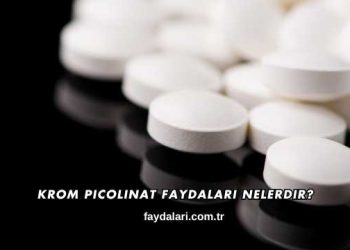 Krom Picolinat Faydaları Nelerdir?