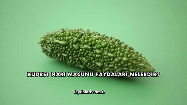 Kudret Narı Macunu Faydaları Nelerdir?