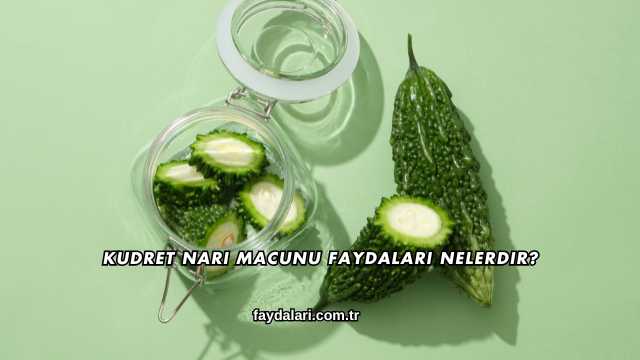 Kudret Narı Macunu Faydaları Nelerdir?