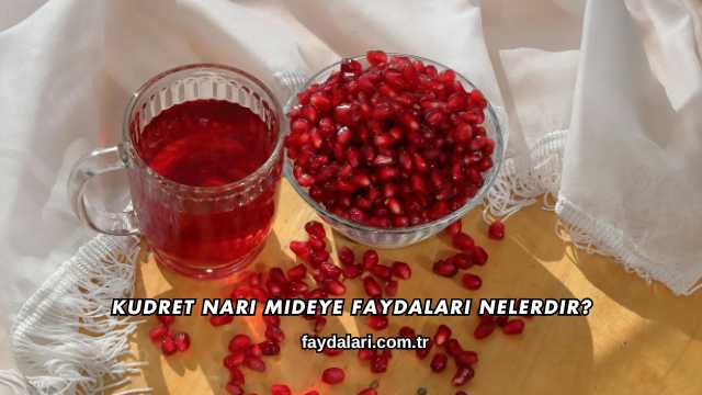 Kudret Narı Mideye Faydaları Nelerdir?