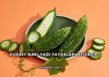 Kudret Narı Yağı Faydaları Nelerdir?