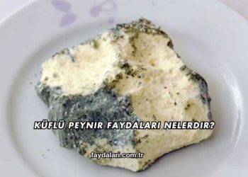 Küflü Peynir Faydaları Nelerdir?