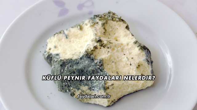 Küflü Peynir Faydaları Nelerdir?