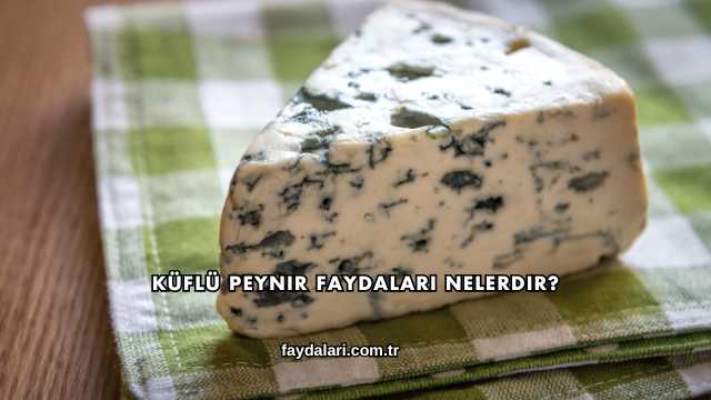 Küflü Peynir Faydaları Nelerdir?