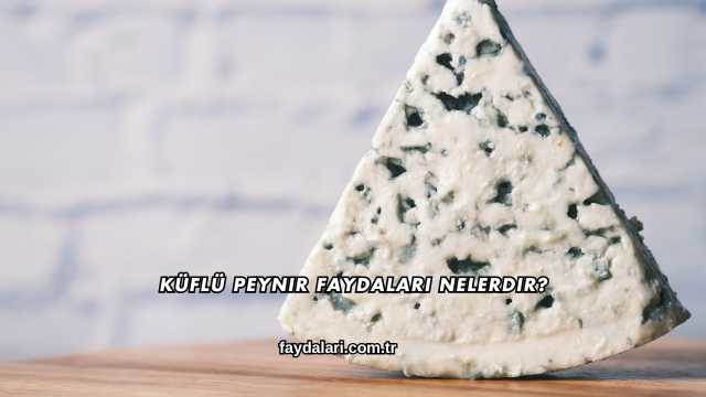 Küflü Peynir Faydaları Nelerdir?