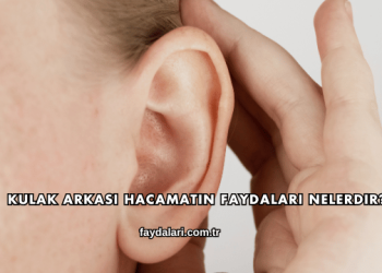 Kulak Arkası Hacamatın Faydaları Nelerdir?