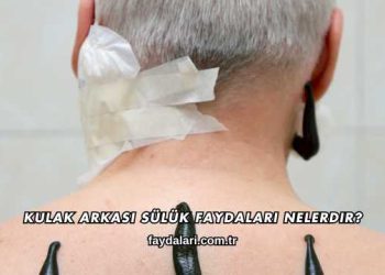 Kulak Arkası Sülük Faydaları Nelerdir?