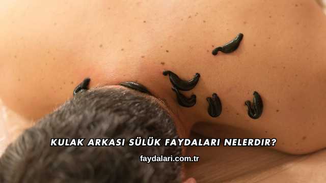 Kulak Arkası Sülük Faydaları Nelerdir?
