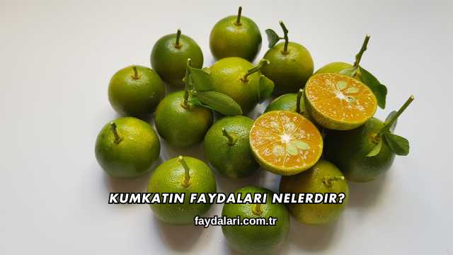 Kumkatın Faydaları Nelerdir?