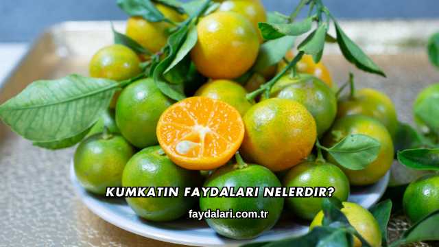Kumkatın Faydaları Nelerdir?