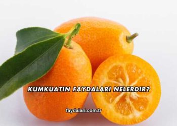 Kumkuatın Faydaları Nelerdir?