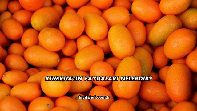 Kumkuatın Faydaları Nelerdir?