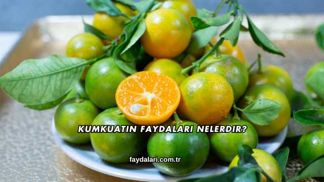 Kumkuatın Faydaları Nelerdir?