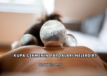 Kupa Çekmenin Faydaları Nelerdir?