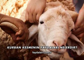Kurban Kesmenin Faydaları Nelerdir?