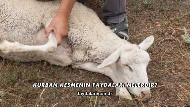 Kurban Kesmenin Faydaları Nelerdir?
