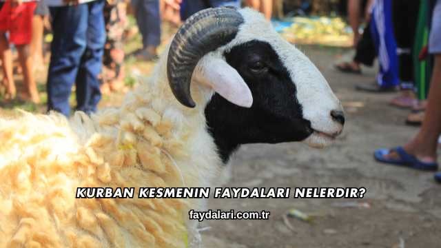 Kurban Kesmenin Faydaları Nelerdir?