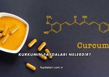 Kurkumin Faydaları Nelerdir?