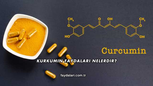 Kurkumin Faydaları Nelerdir?
