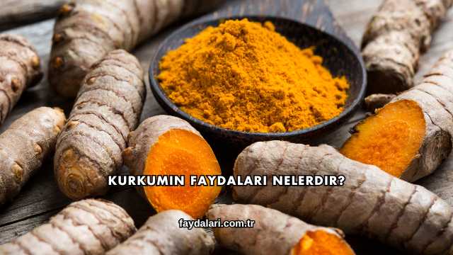 Kurkumin Faydaları Nelerdir?