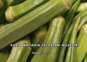 Kuru Bamyanın Faydaları Nelerdir?