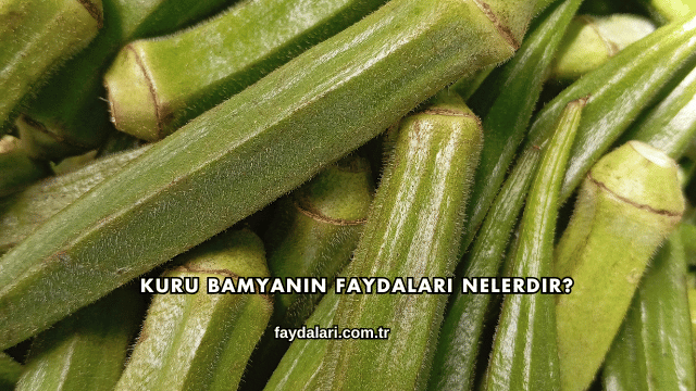 Kuru Bamyanın Faydaları Nelerdir?