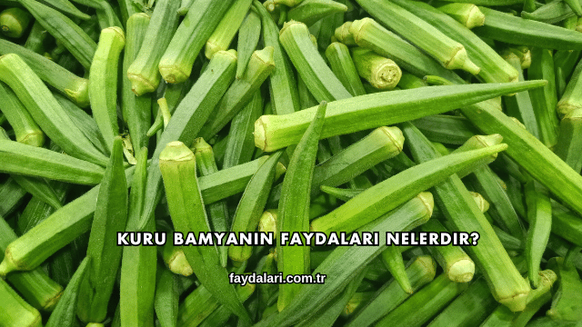 Kuru Bamyanın Faydaları Nelerdir?